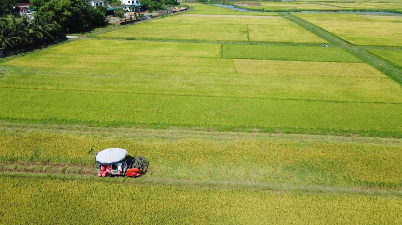 Nghe An expands low-emission rice production